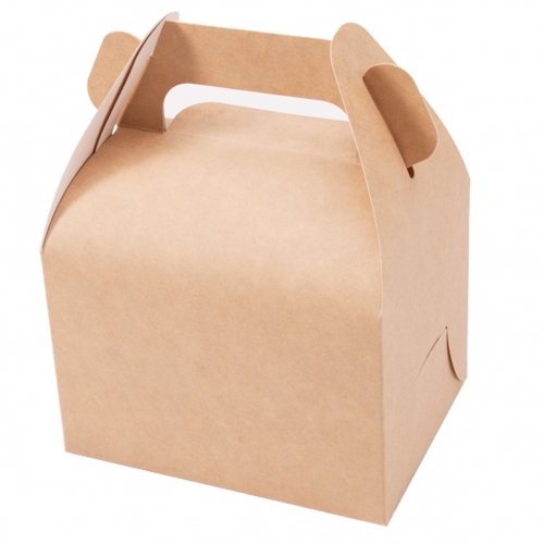 Biodegradable box